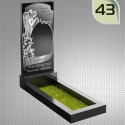43